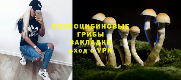 дмт Алзамай