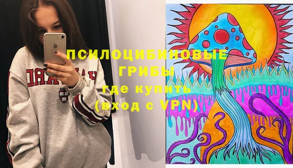 соль ск Абдулино