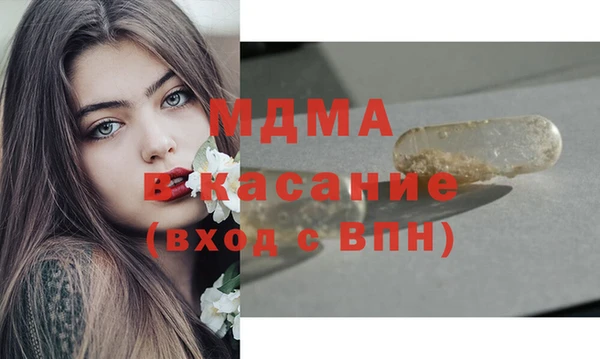 гашик Алексин