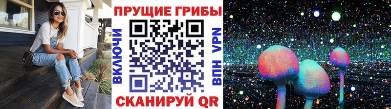 Псилоцибиновые грибы мицелий  Тотьма 