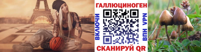 Псилоцибиновые грибы мицелий Тотьма